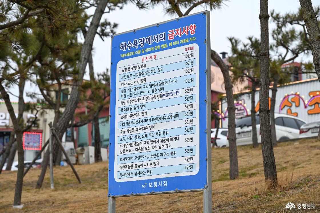 대천해수욕장 금지사항 안내