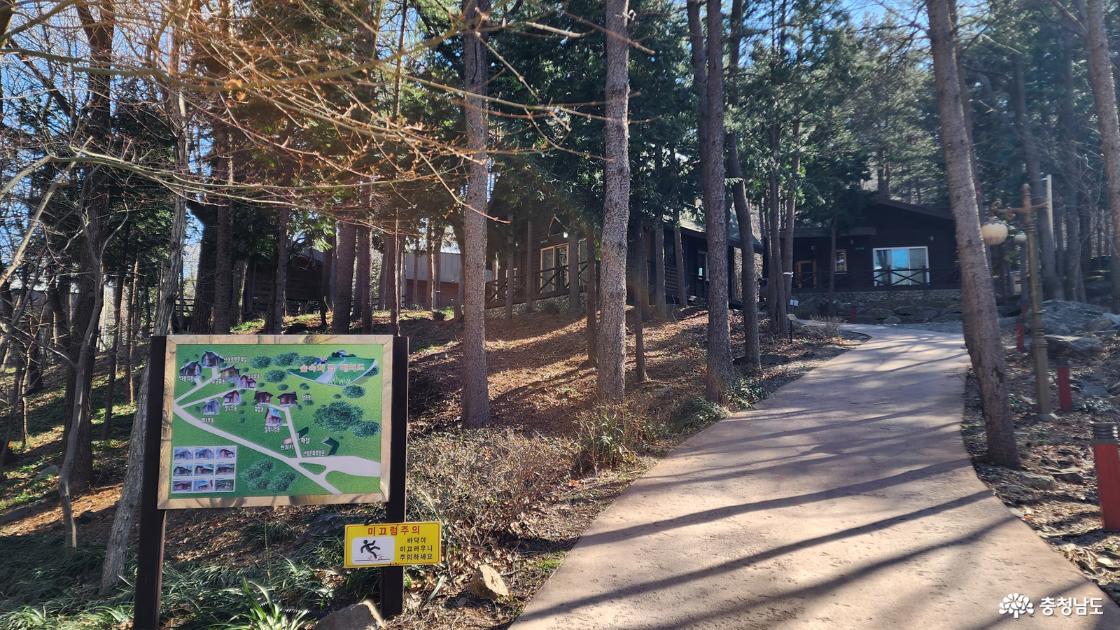 성주산자연휴양림 산책로