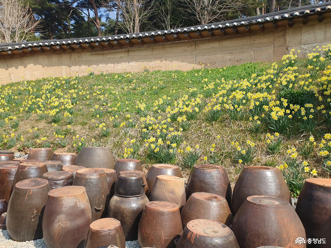 장독대