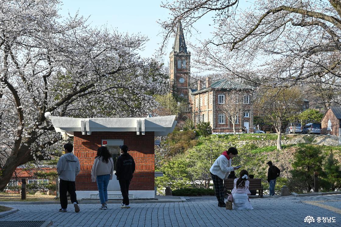 충청남도역사박물관에서 바라보는 공주 중동성당의 모습