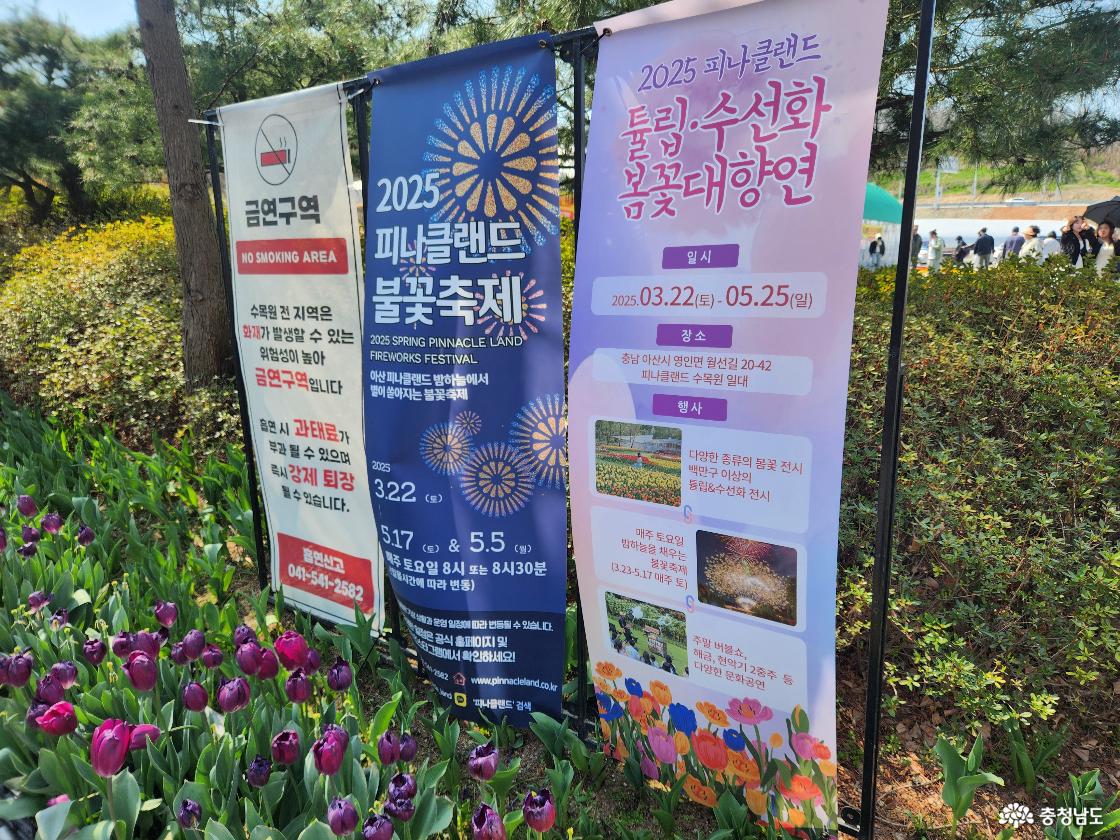 피나클랜드 관련 이미지