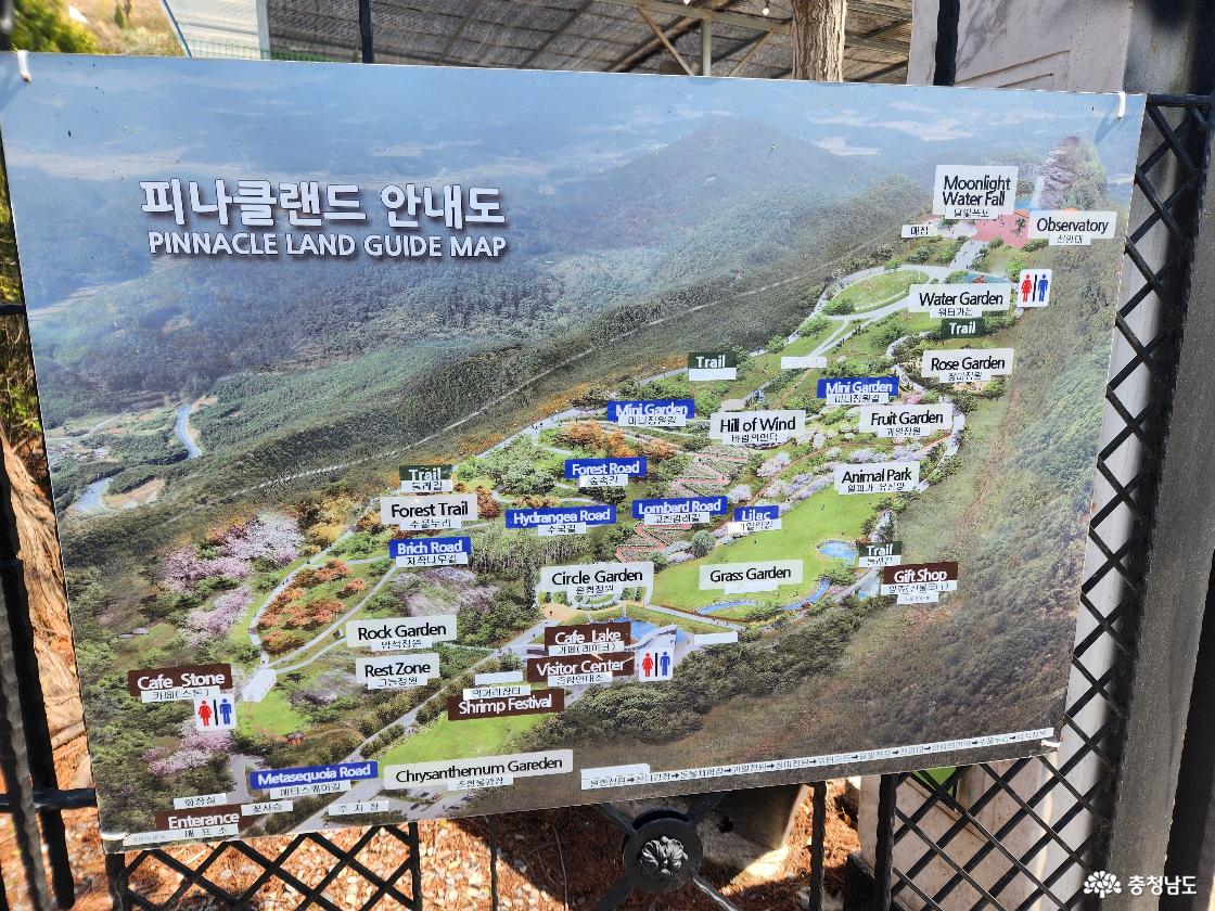 피나클랜드 관련 이미지