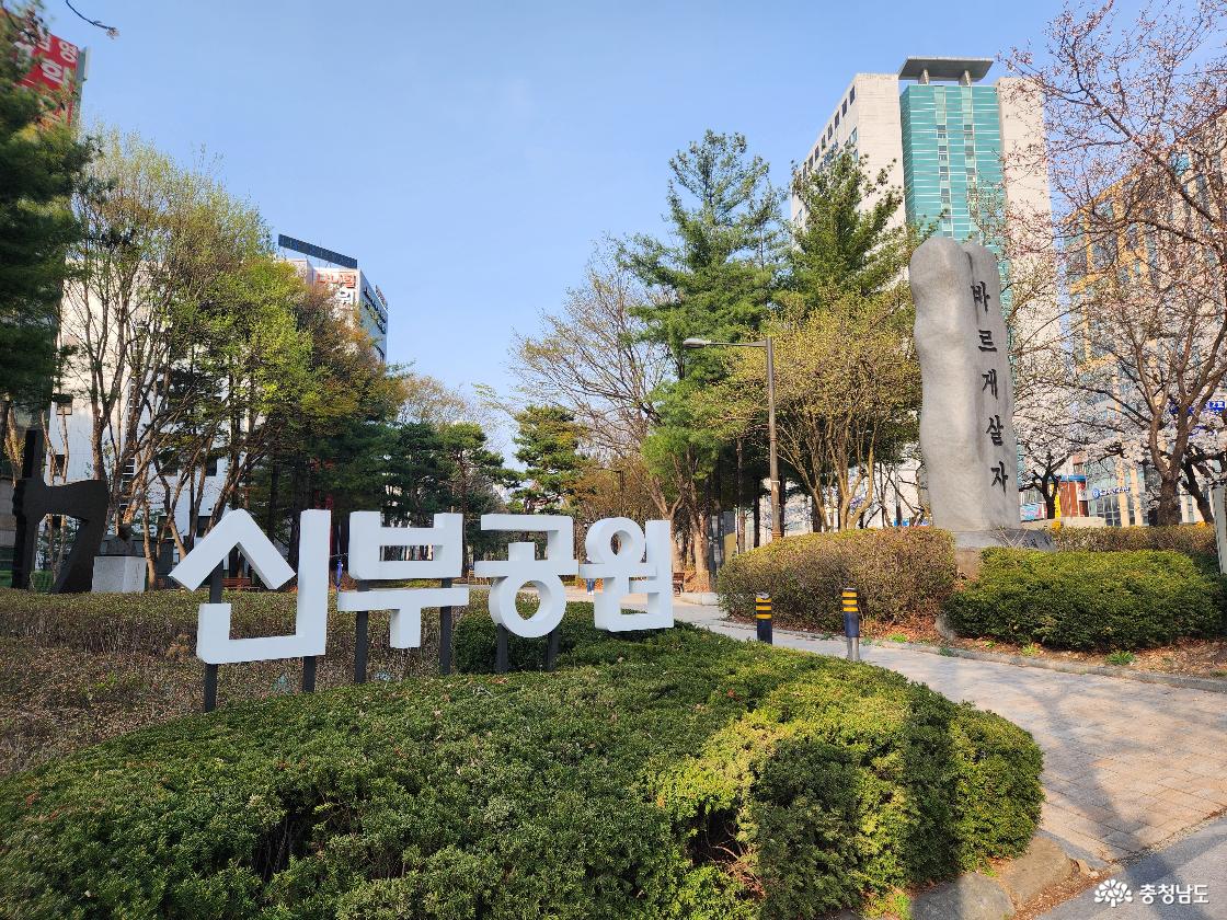 신부공원 관련 이미지