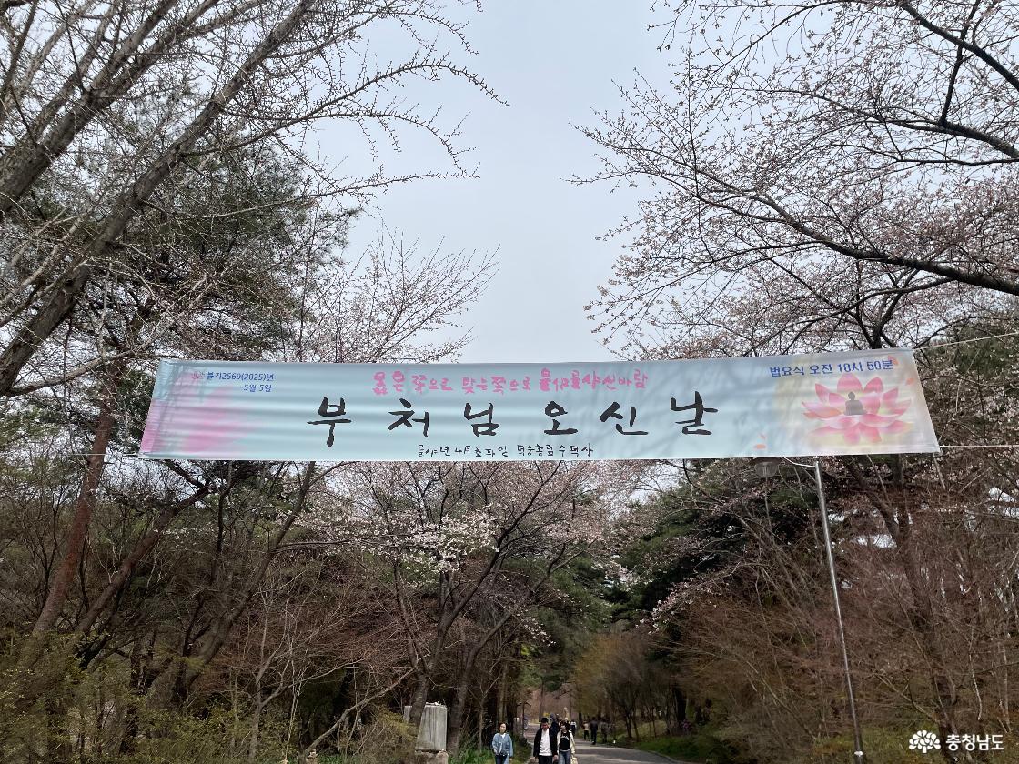 수덕사 부처님 오신날