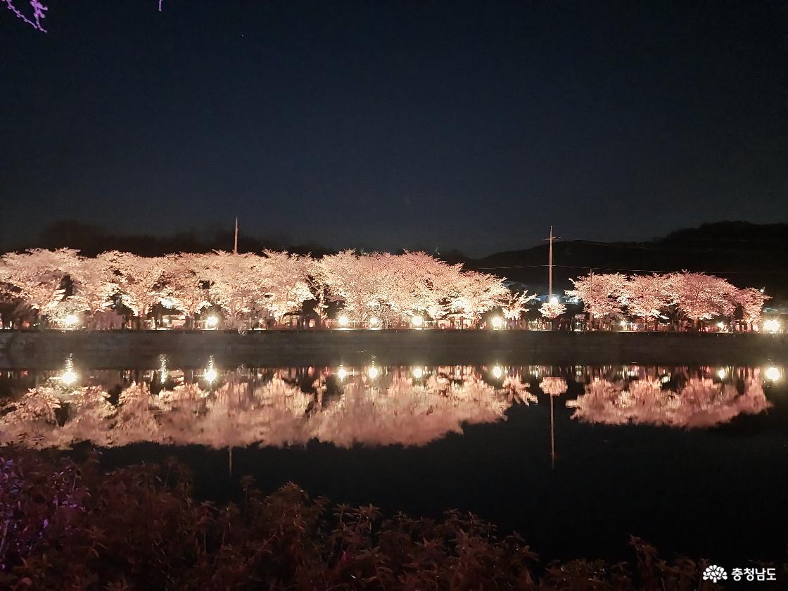 꽃의 향기는 밤 바람 타고