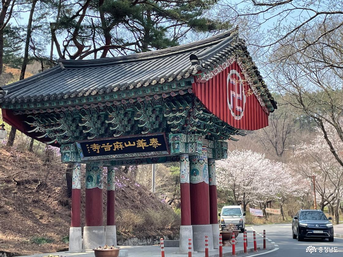 태화산마고절