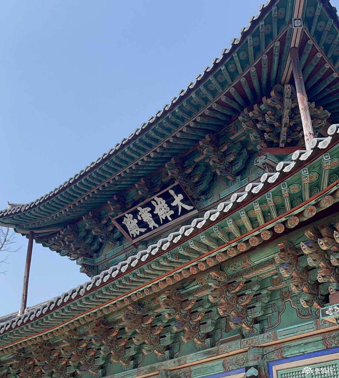 대웅실감