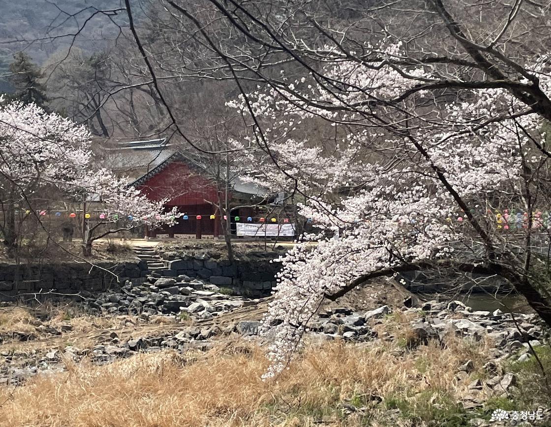 마곡사 전경