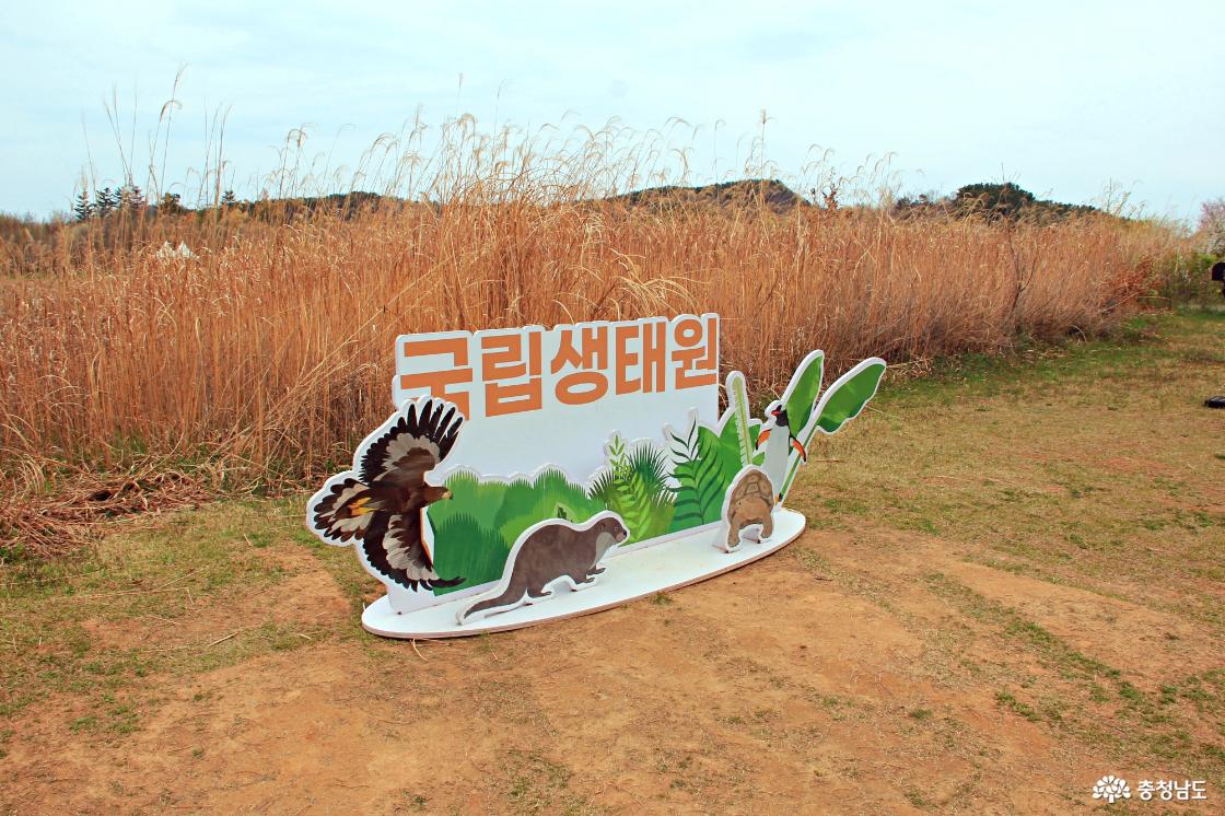국립생태원입구 포토존