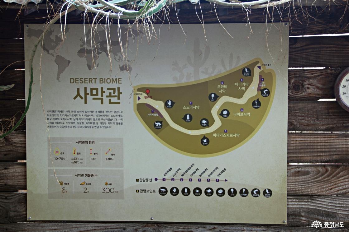 국립생태원 사막관