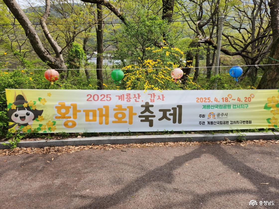 2025년 갑사 황매화 축제 현수막