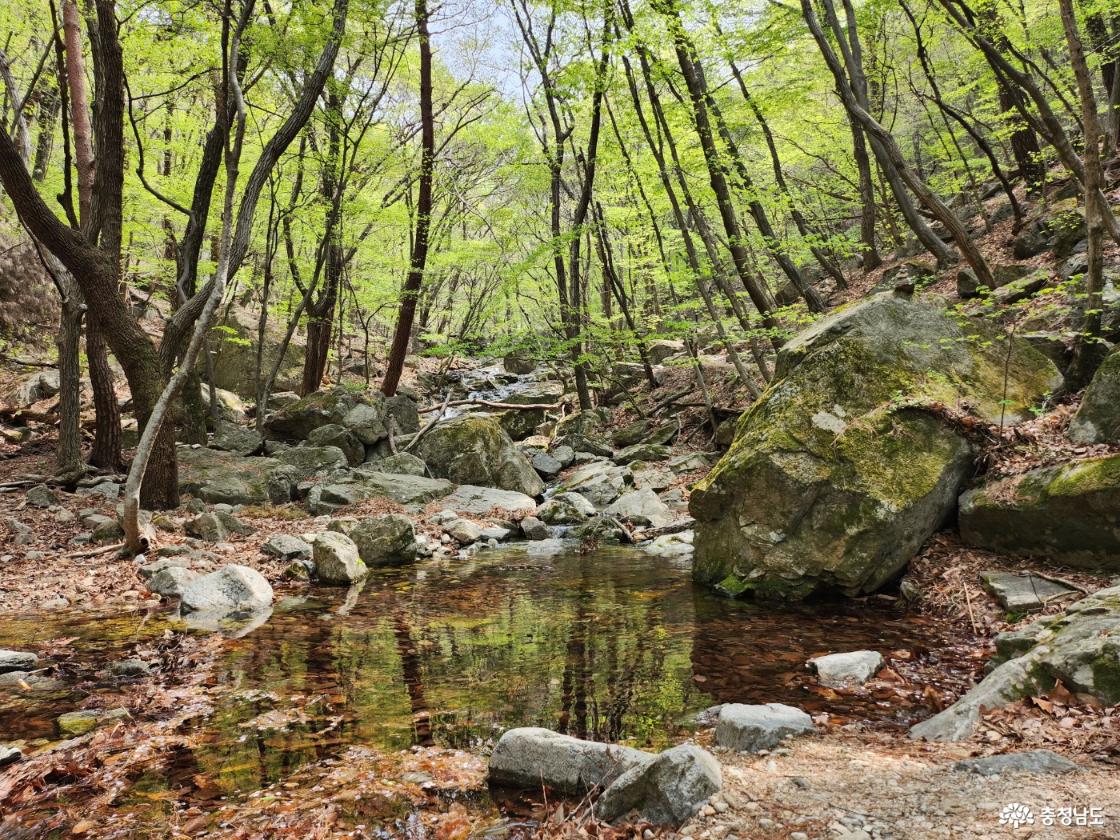 계곡과 어우러진 금잔디고개 가는 길