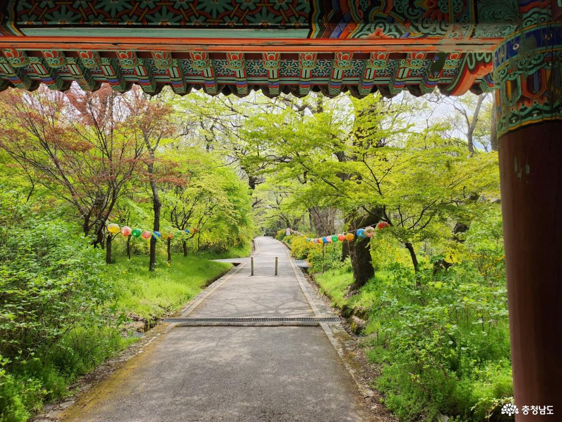 내려오는 길에 일주문에서 본 풍경