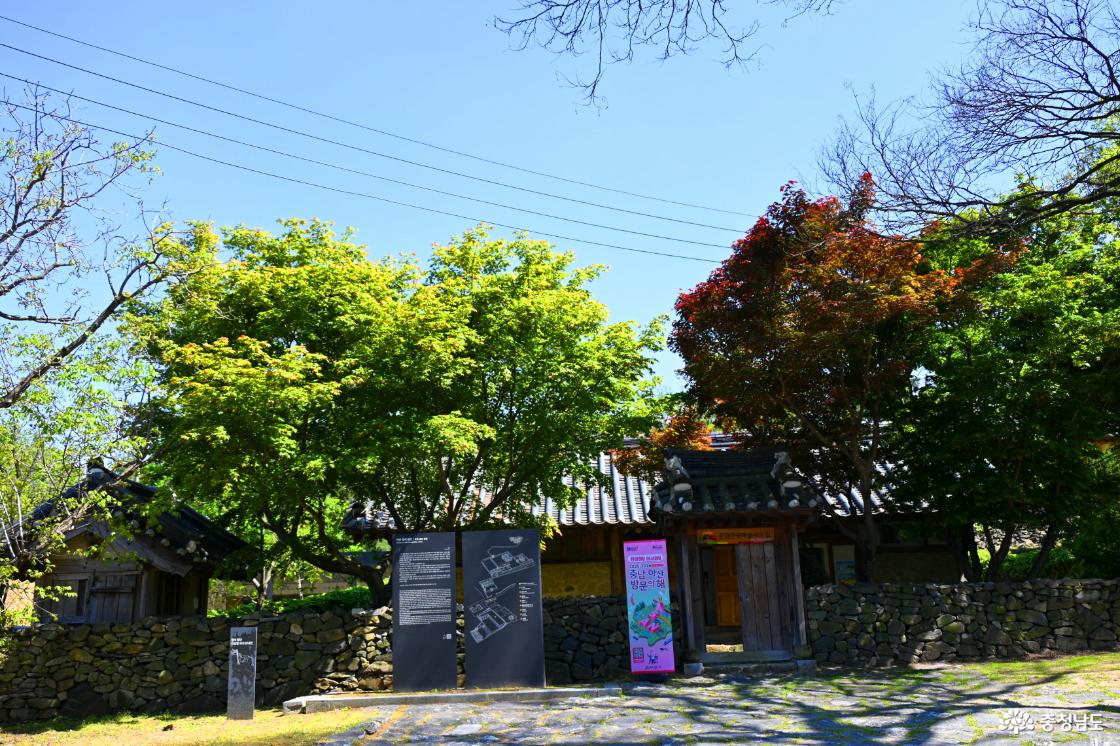아산 맹씨행단과 고불 맹사성기념관의 봄