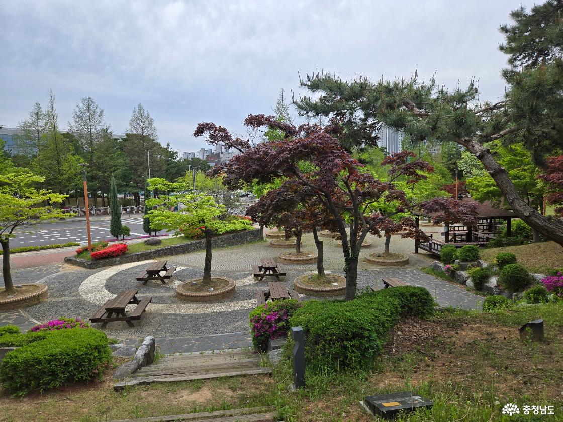 도심 속 작은 힐링숲, 천안시민의숲 산책기