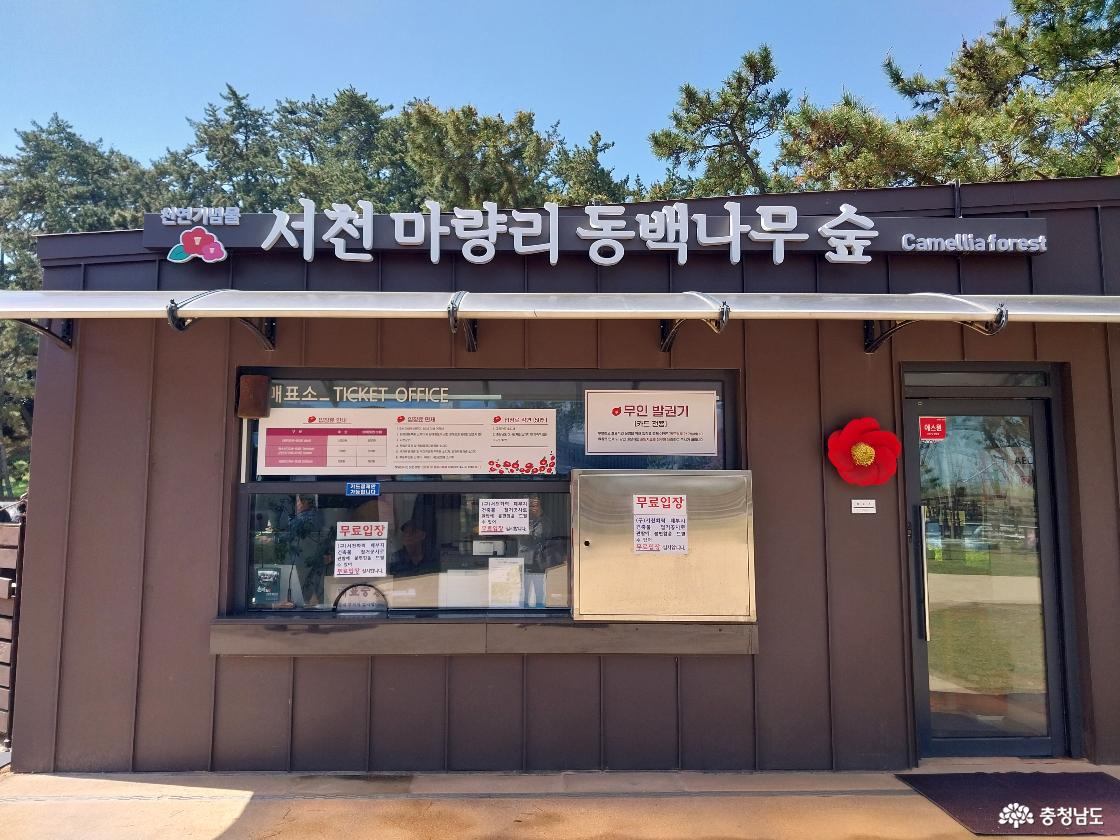 동백나무 숲 매표소