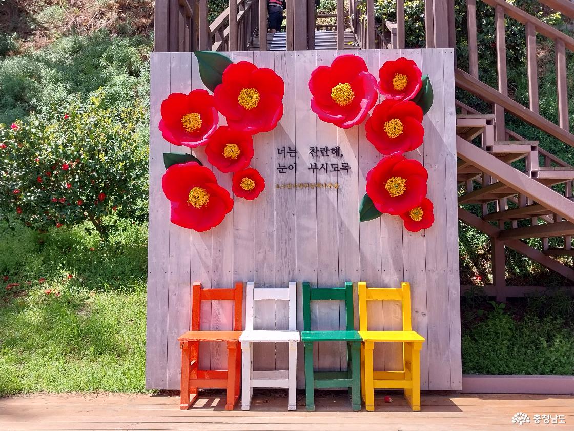 동백나무 숲 포토 존