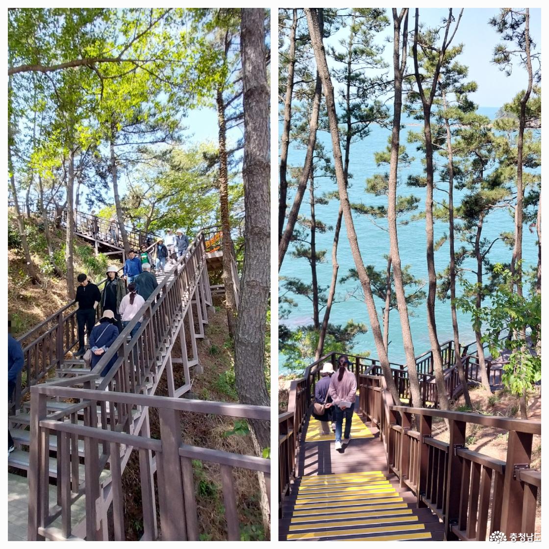 나무계단을 올라 해안 방향으로