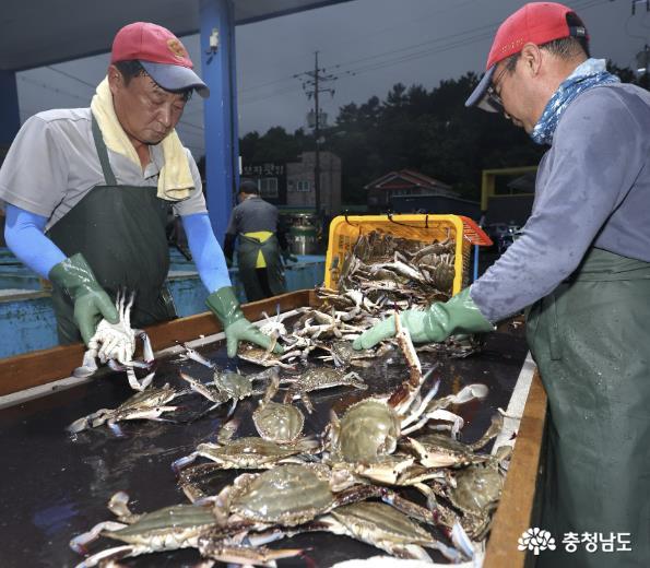 생계 힘들어진 어촌, 유통구조 바꿔야 살아
