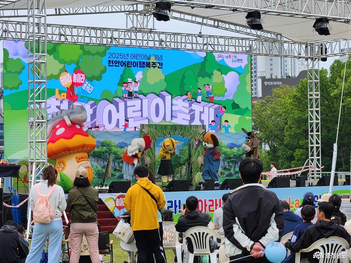 페스타 관련 이미지