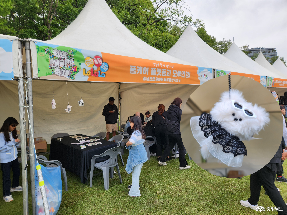 페스타 관련 이미지