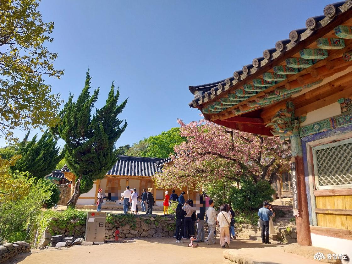 고즈넉한 봄날의 산사