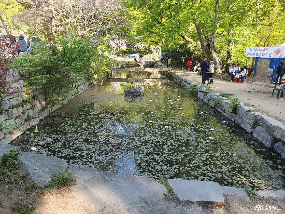개심사 연못