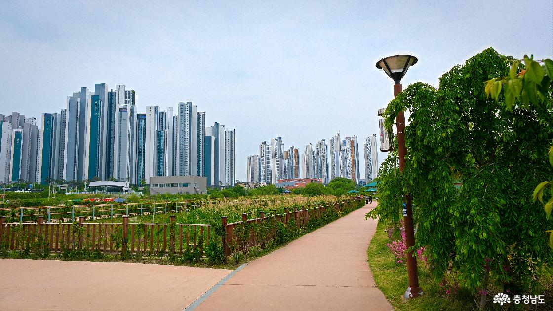 성성호수공원 내 산책길