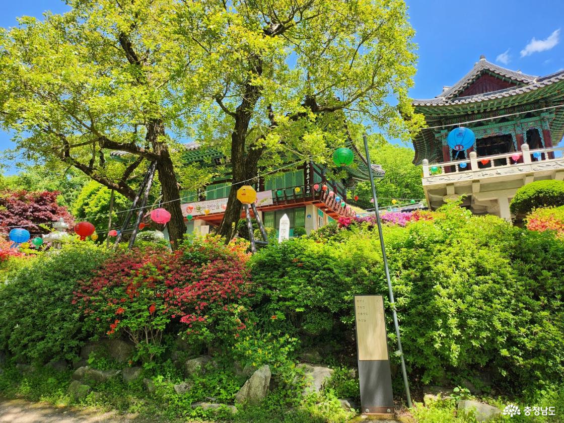 광덕사 풍경