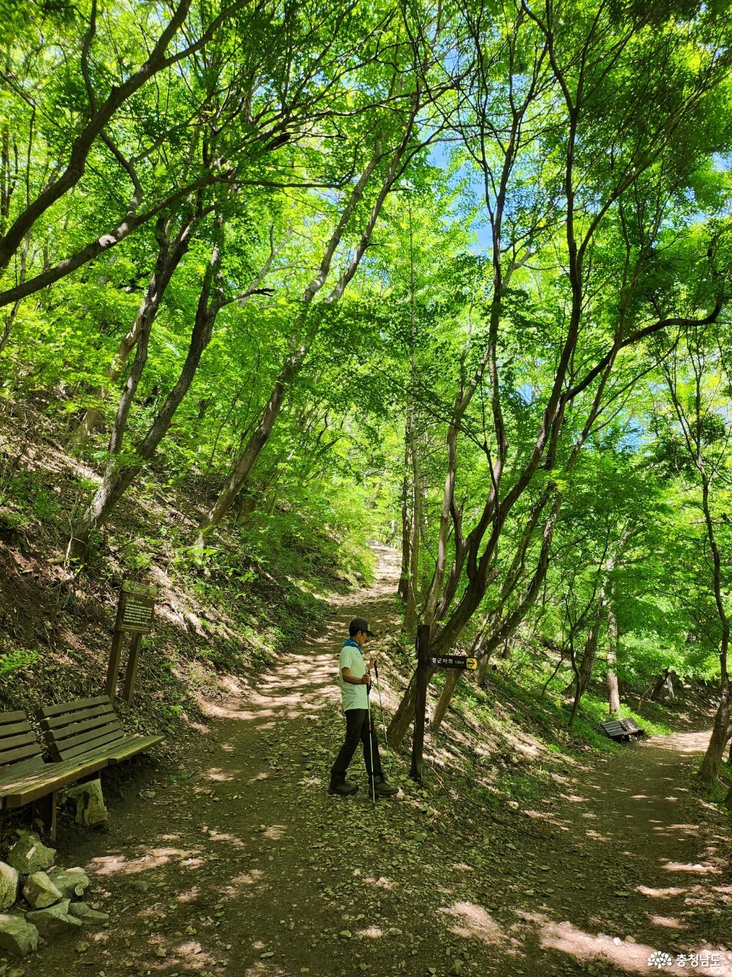 여기부터 1코스를 선택하면 정상까지 1.5km, 2코스를 선택하면 장군바위까지 1.8km, 장군바위에서 정상까지 2.2km 도합 4.0km입니다. 2코스에서 부용묘 방향으로 에둘러 가면 조금 더 걷게 됩니다.