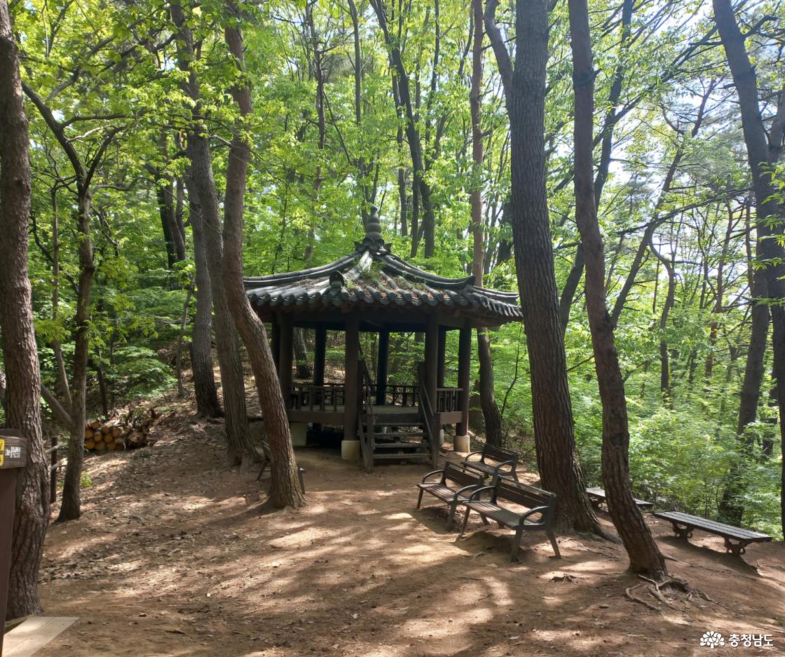 팔각